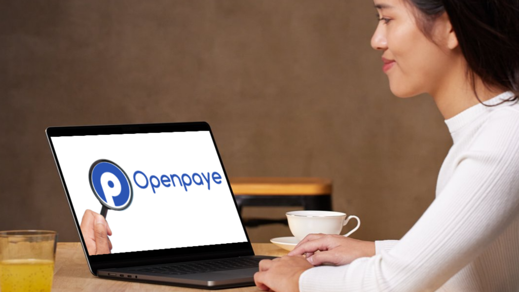 openpaye logiciel de paie