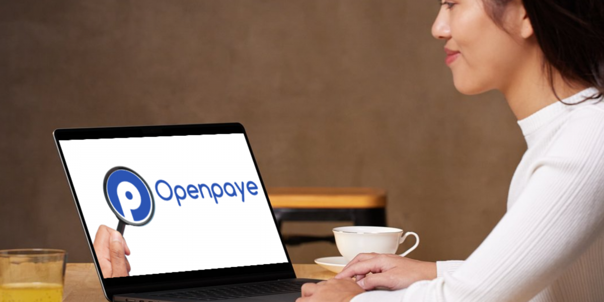 openpaye logiciel de paie